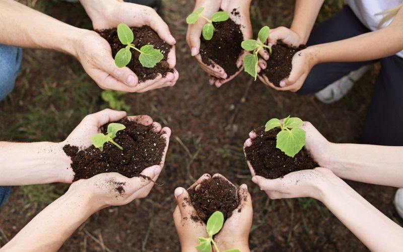 ボランティア 藤沢市
